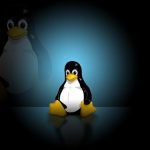 CentOS7/Centos8多网卡增加永久路由-小林博客