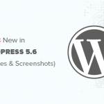 WordPress 5.6已发布,图文介绍新功能大全-小林博客