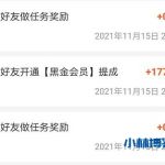 悬赏猫一天可以挣200么?有徒弟开了黑金会员!-小林博客