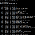 Ubuntu20.04配置网卡-小林博客