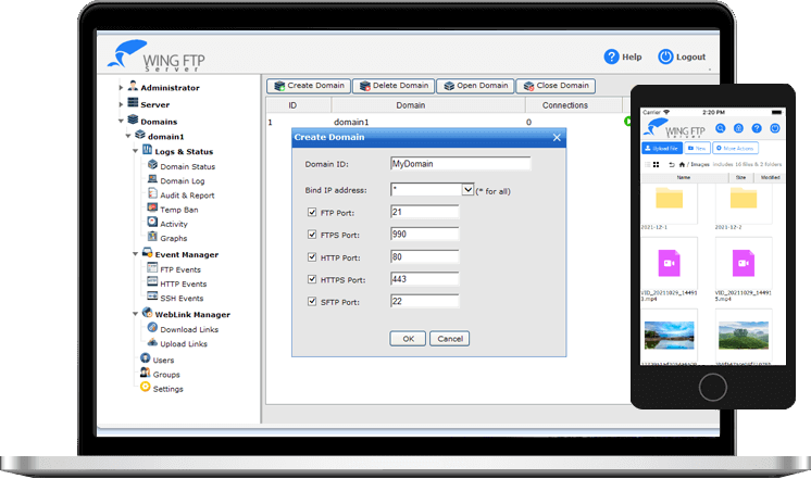 FTP服务器 Wing FTP Server v8.0.7 破解版 FTP服务器 Wing FTP Server v8.0.7 破解版