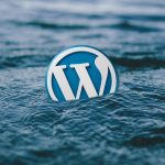 分享一个WordPress数据库清理PHP代码-小林博客