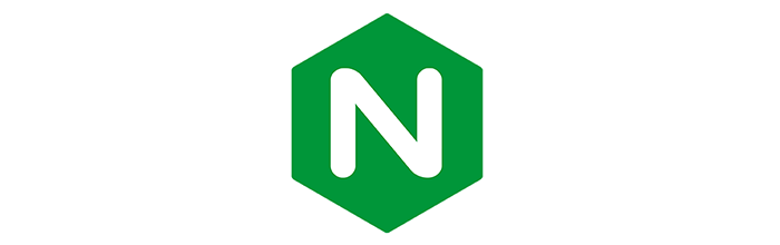 如何使用 Nginx 配置自定义日志并记录用户信息-小林博客