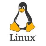 Linux进阶-磁盘管理：du、df、lsblk-小林博客